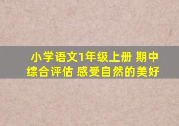 小学语文1年级上册 期中综合评估 感受自然的美好